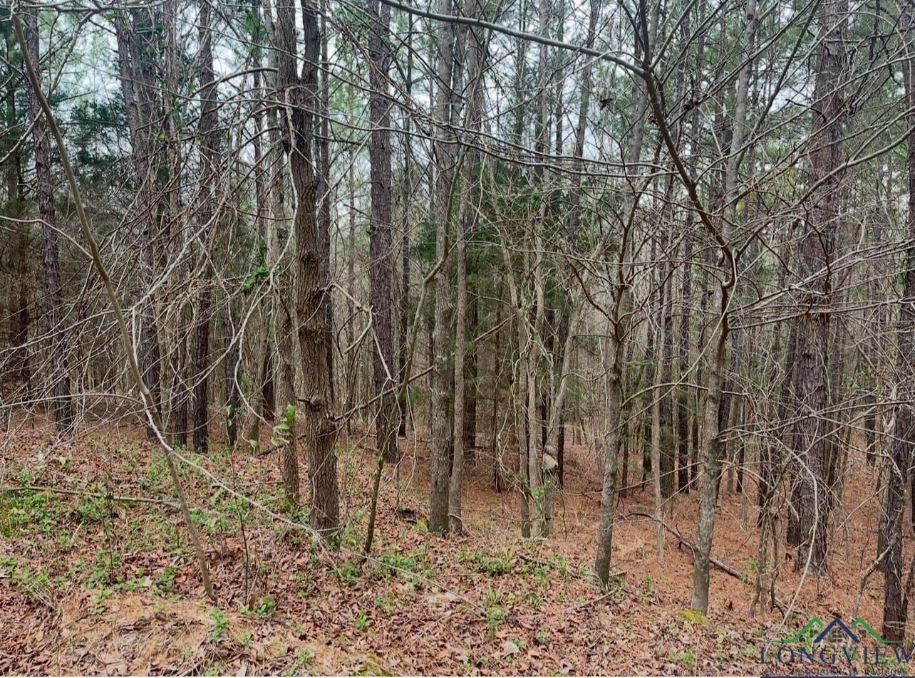 33.81 acres in Smith County - photo 17