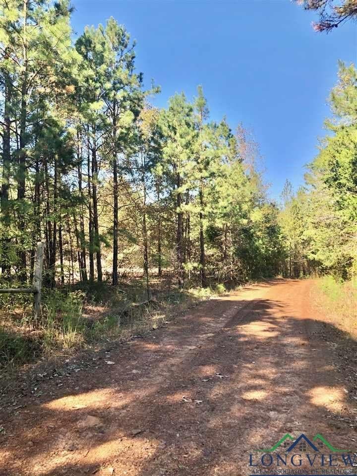 33.81 acres in Smith County - photo 2