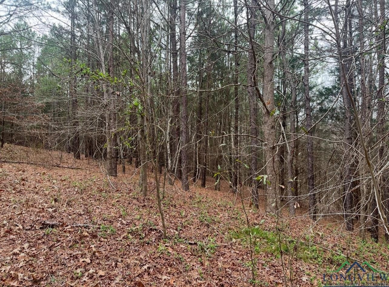 33.81 acres in Smith County - photo 16