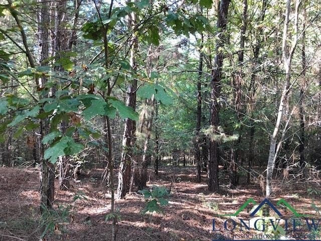 33.81 acres in Smith County - photo 3