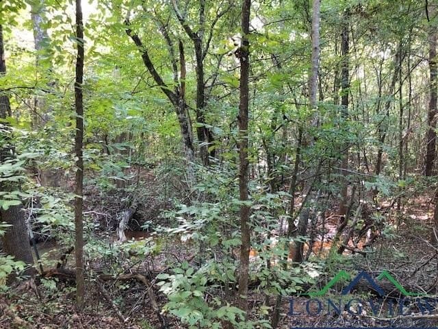 33.81 acres in Smith County - photo 19