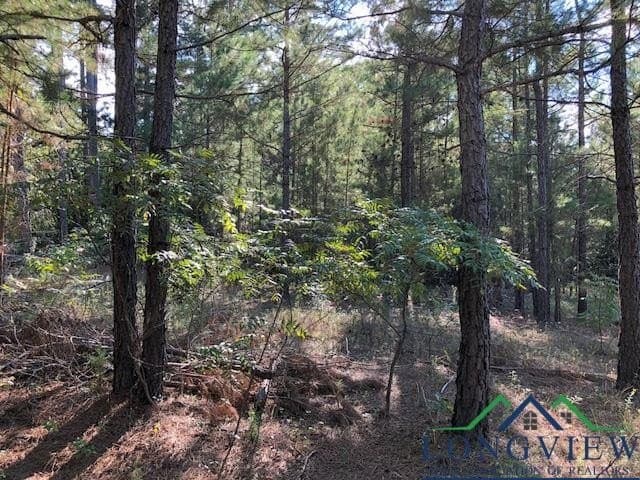 33.81 acres in Smith County - photo 18