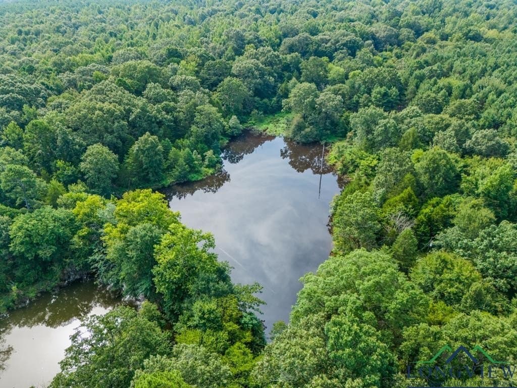15 acres in Upshur County - photo 16