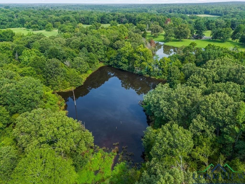 15 acres in Upshur County - photo 17