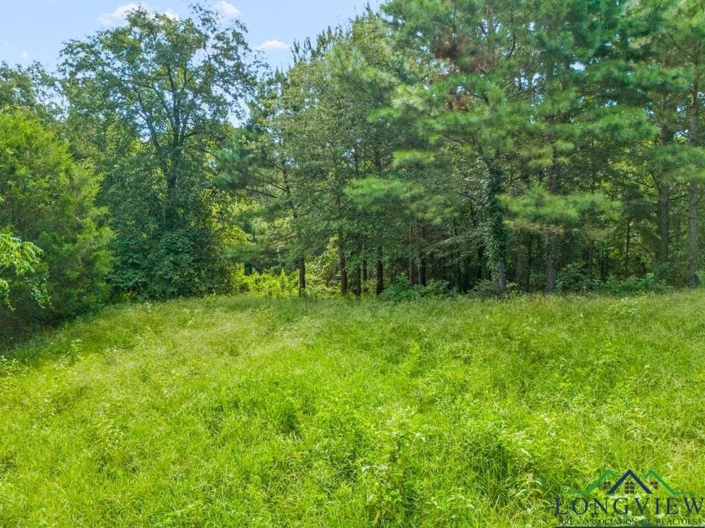 15 acres in Upshur County - photo 21