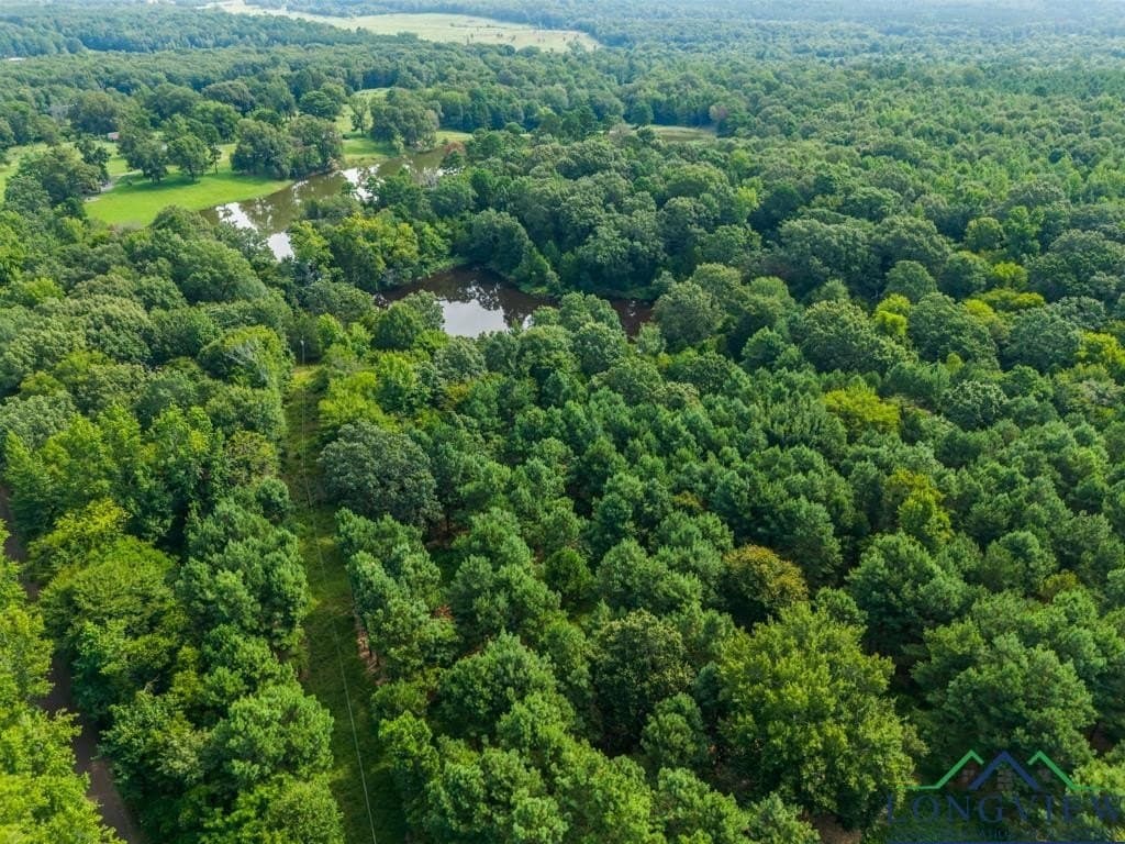 15 acres in Upshur County - photo 18