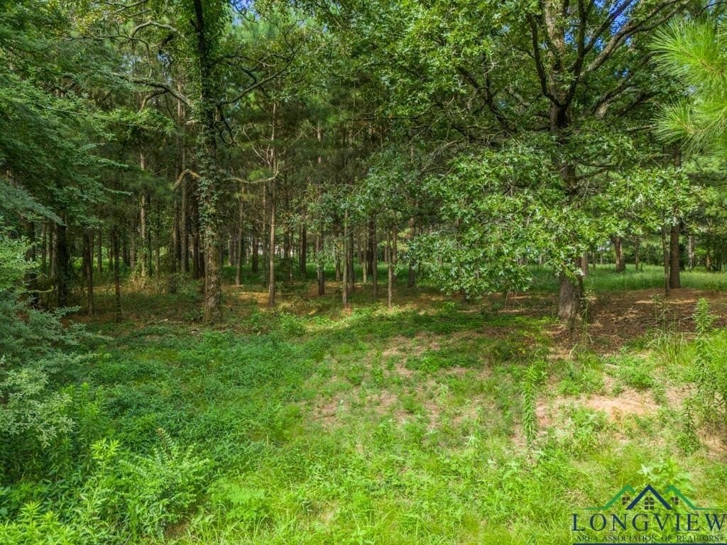 15 acres in Upshur County - photo 20