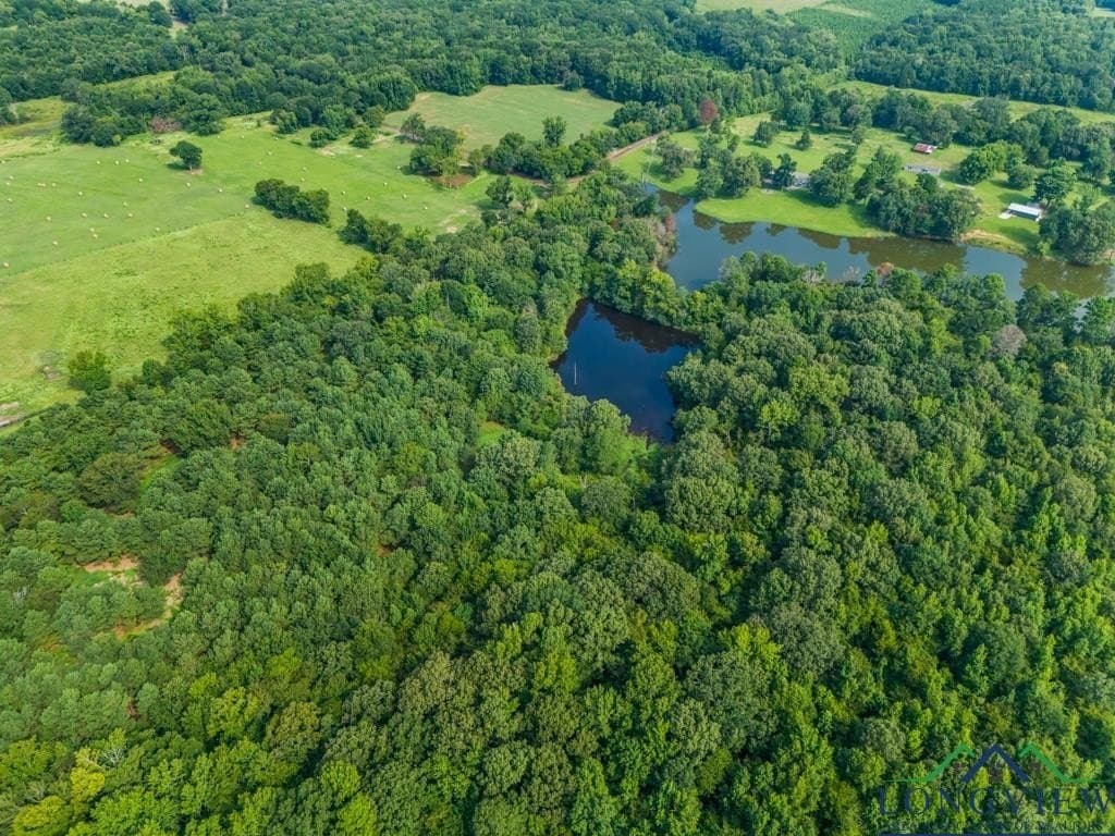 15 acres in Upshur County - photo 12