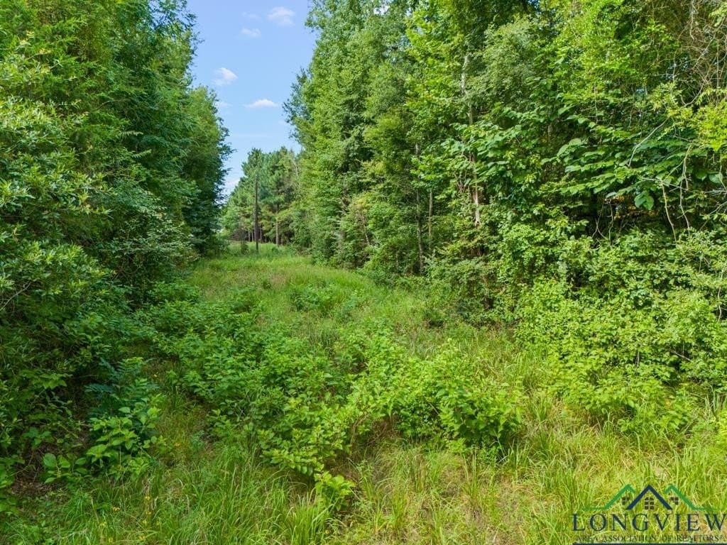 15 acres in Upshur County - photo 19
