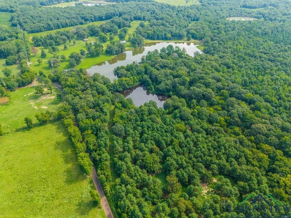15 acres in Upshur County - photo 11