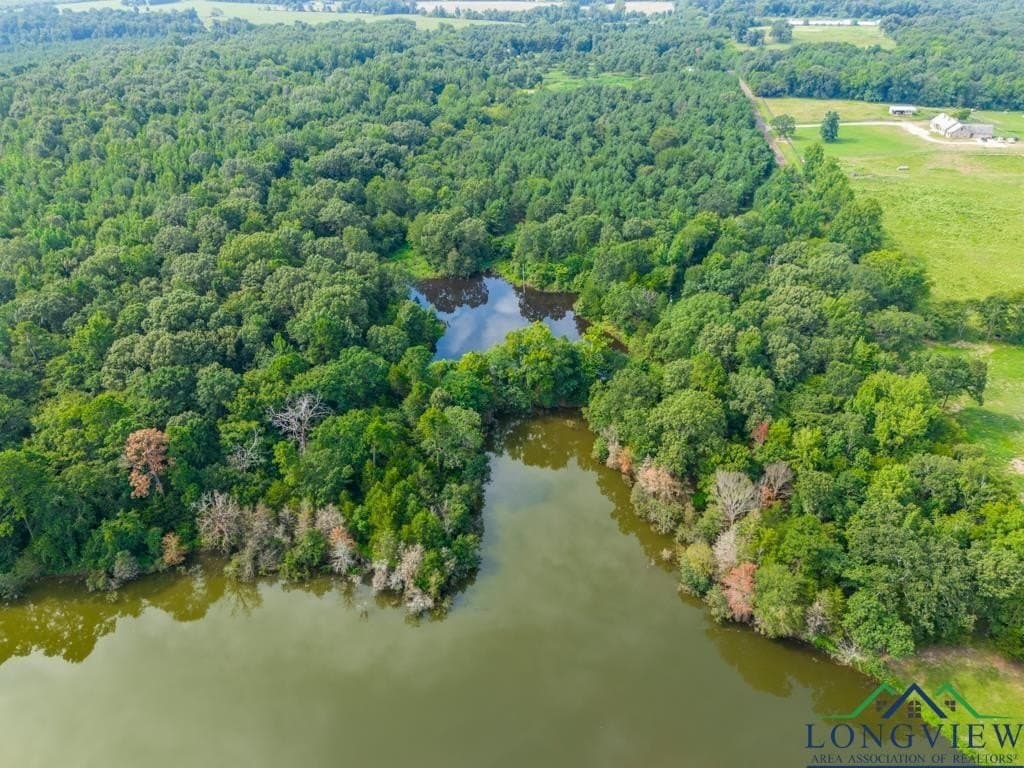 15 acres in Upshur County - photo 15
