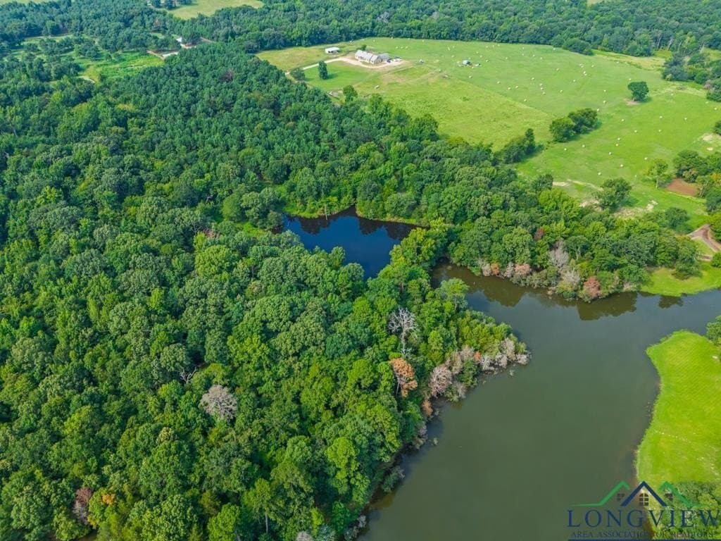 15 acres in Upshur County - photo 13