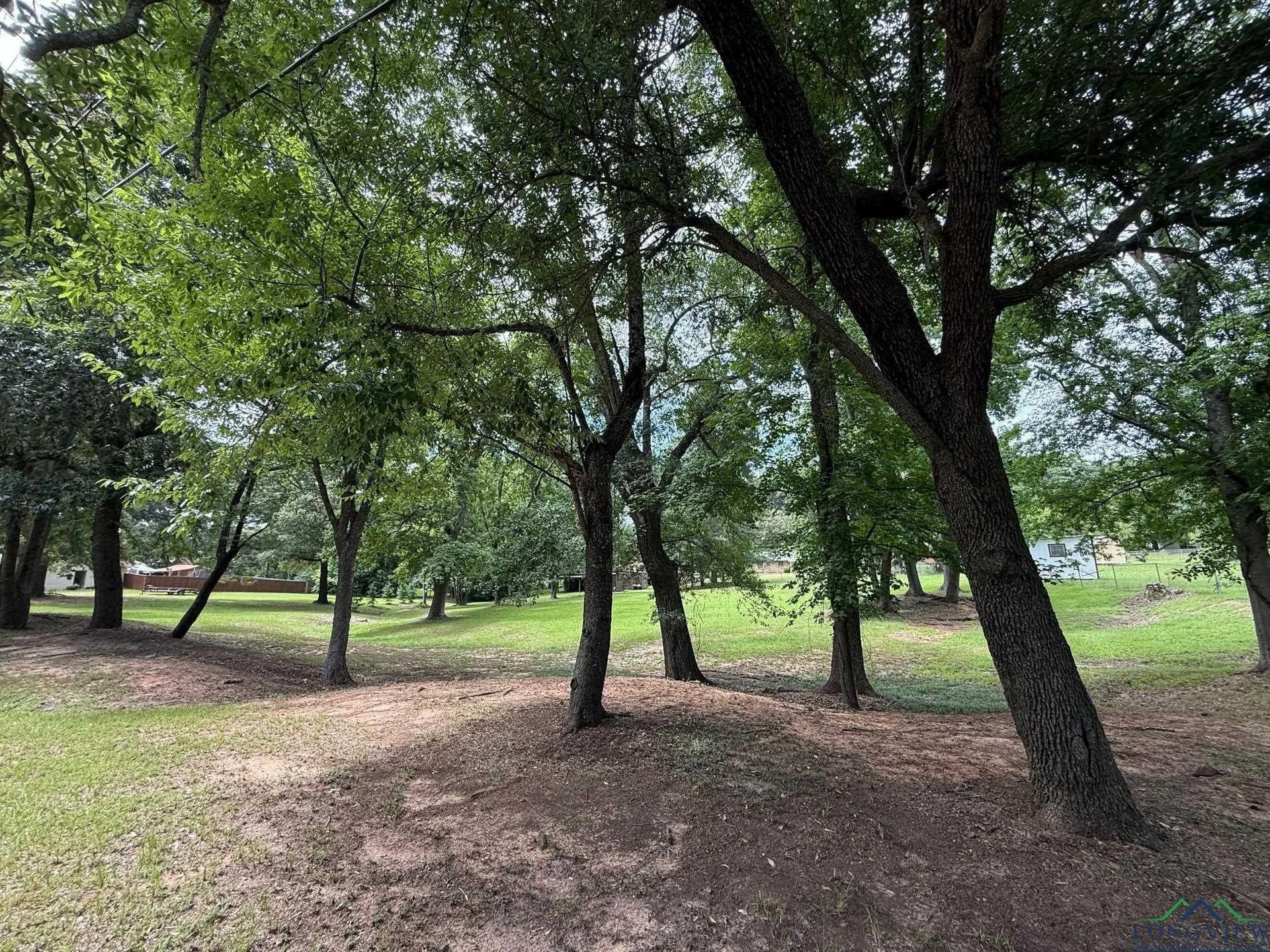 0.8 acres in Upshur County - photo 4