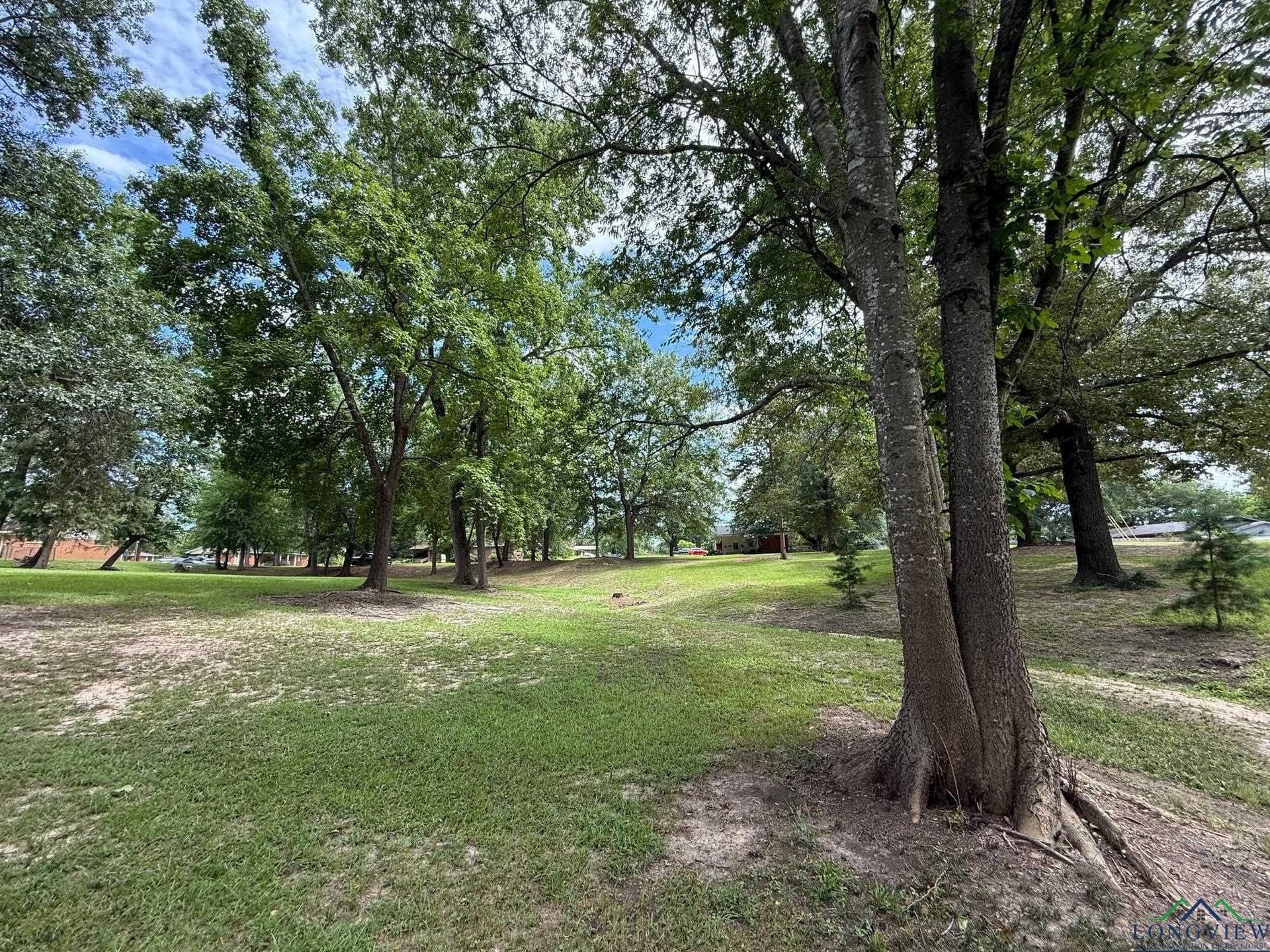 0.8 acres in Upshur County - photo 7