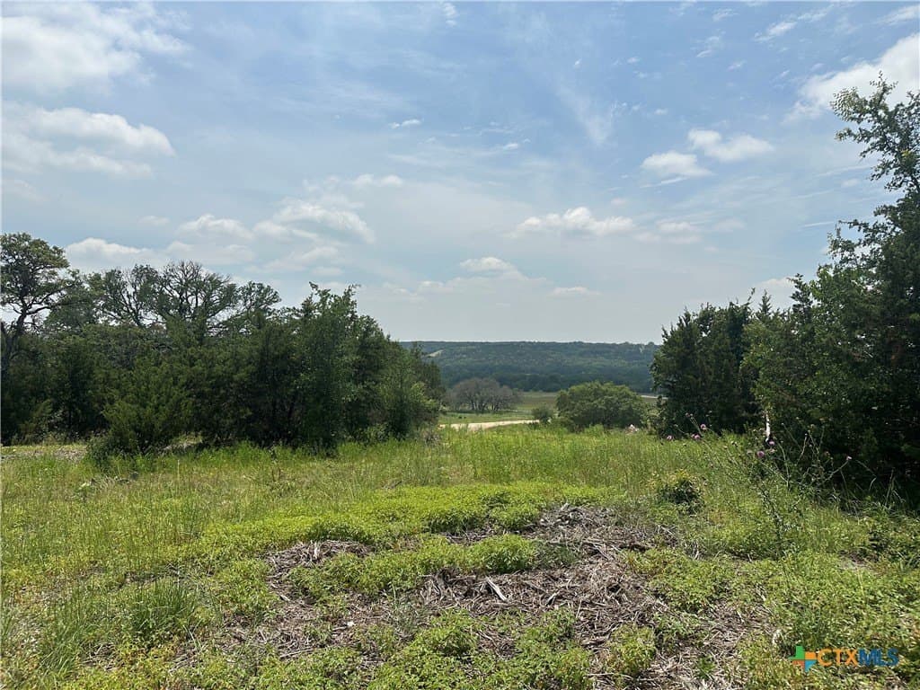 6.05 acres in Coryell County - photo 6
