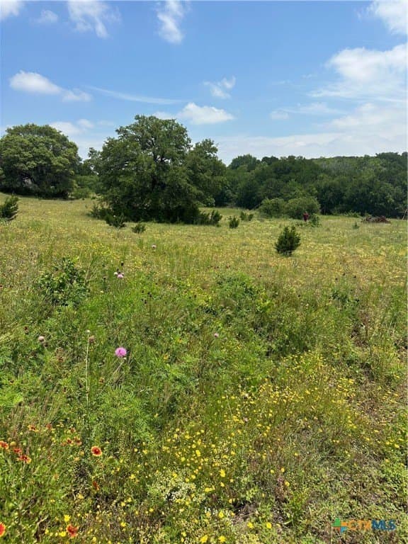 134 Yellowstone Drive lot: 7