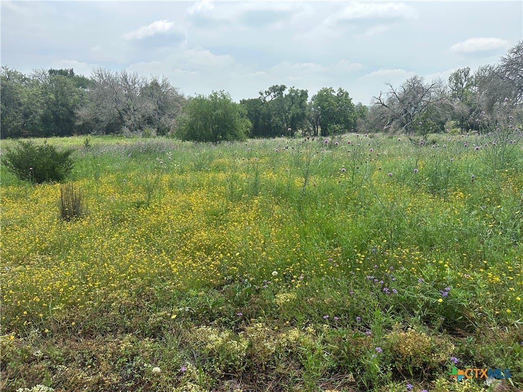 6.05 acres in Coryell County - photo 2