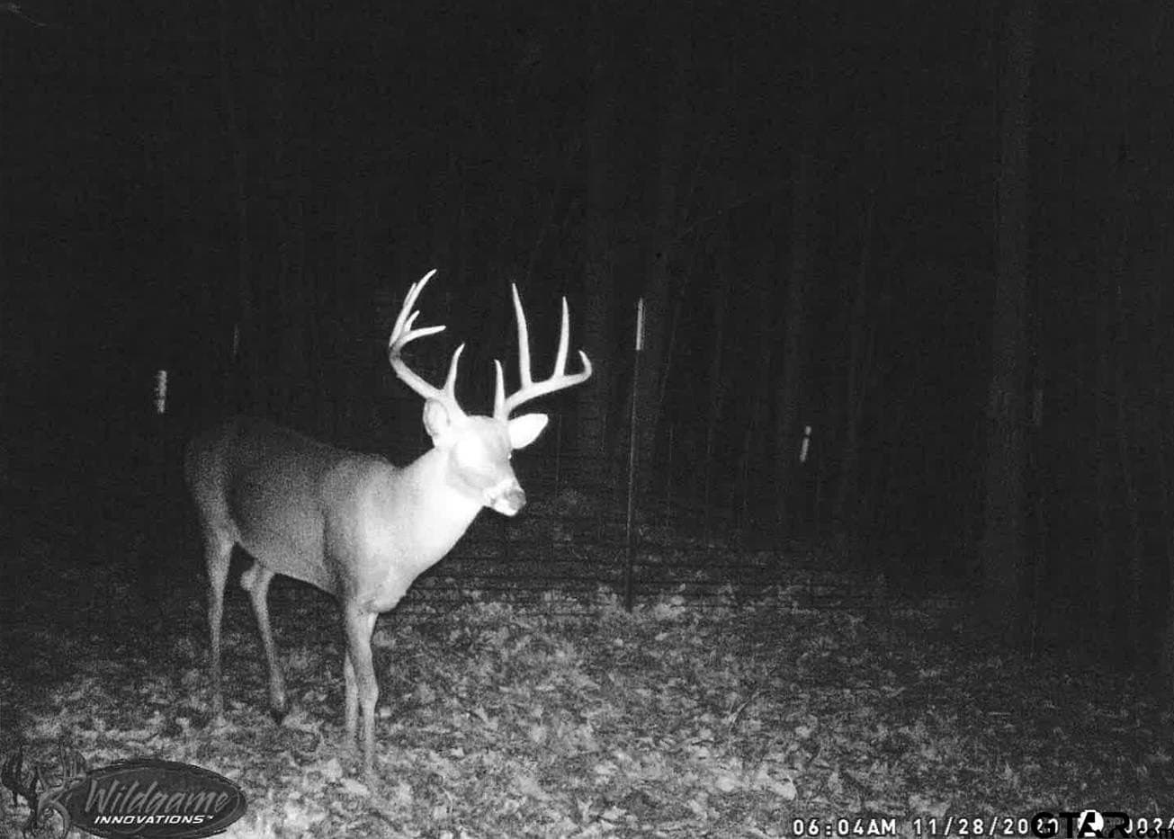 18.47 acres in Henderson County - photo 27