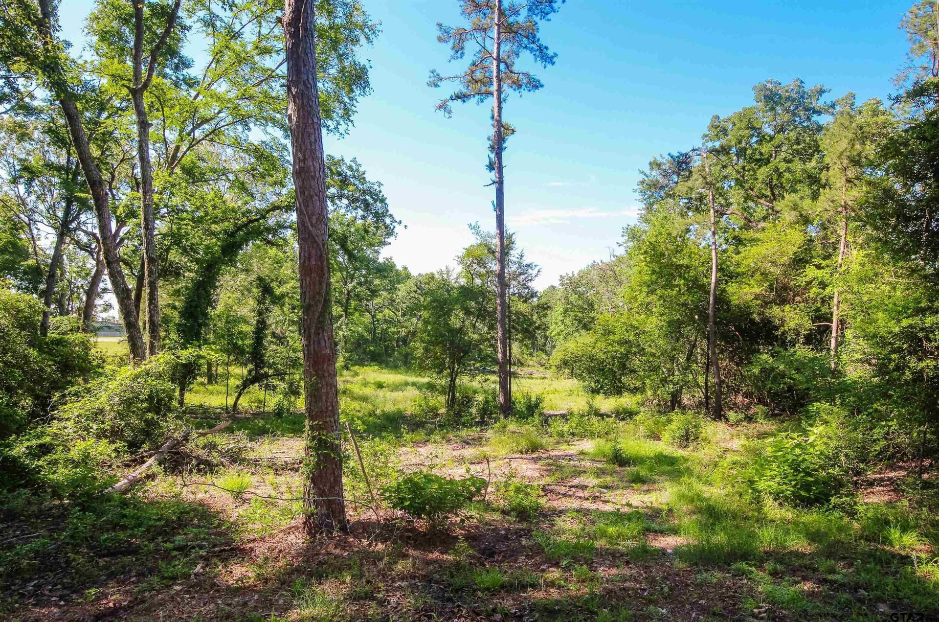 18.47 acres in Henderson County - photo 25