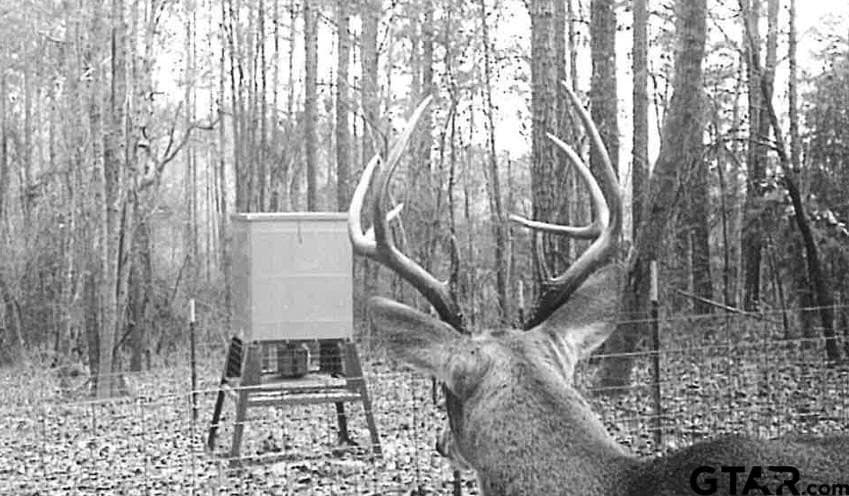 18.47 acres in Henderson County - photo 29