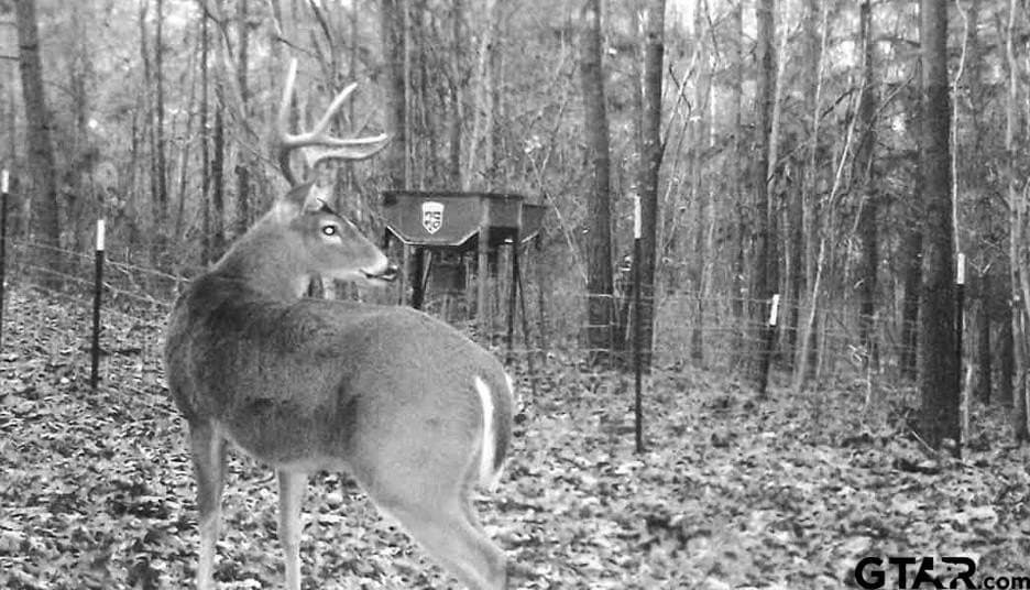 18.47 acres in Henderson County - photo 28