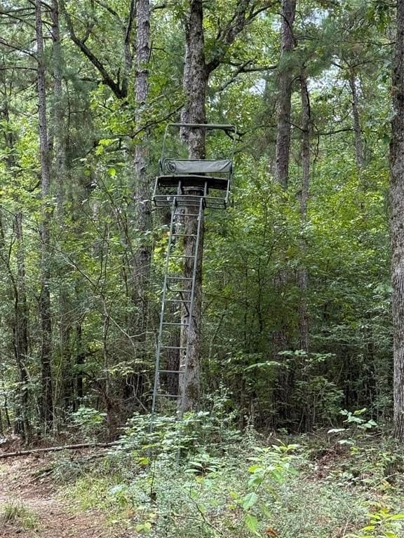 167.28 acres in Leon County - photo 11
