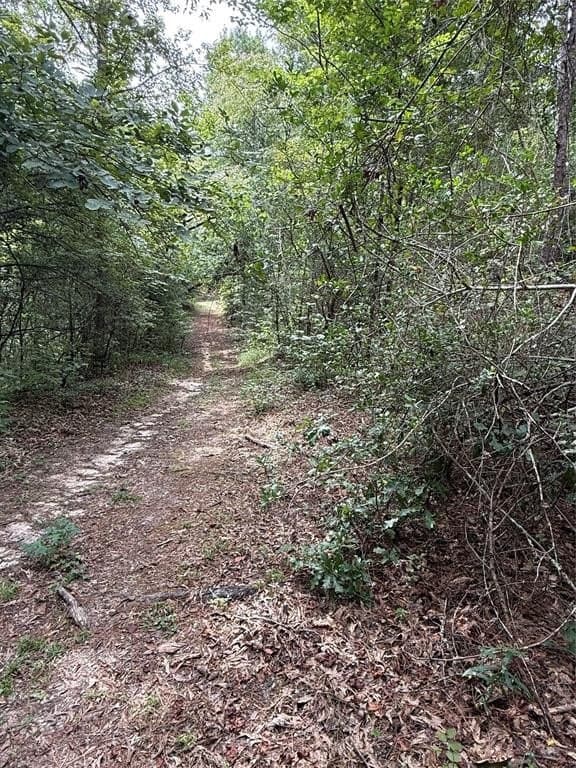 167.28 acres in Leon County - photo 5