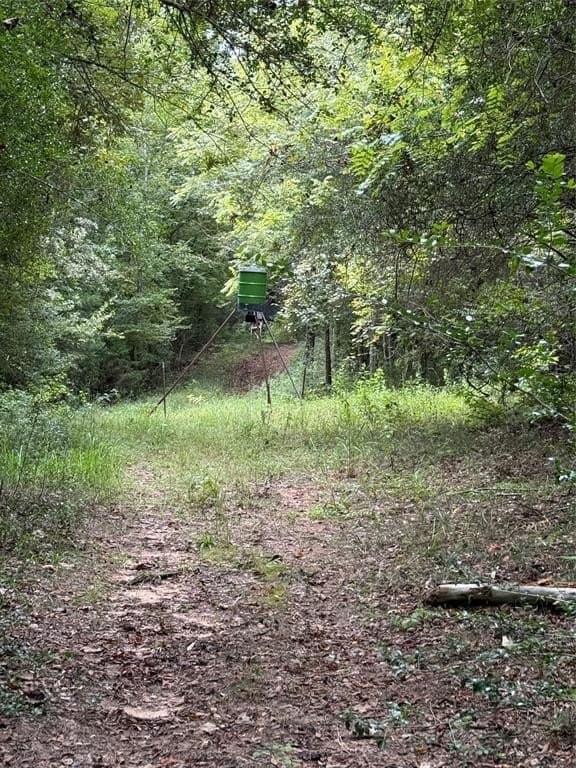 167.28 acres in Leon County - photo 10