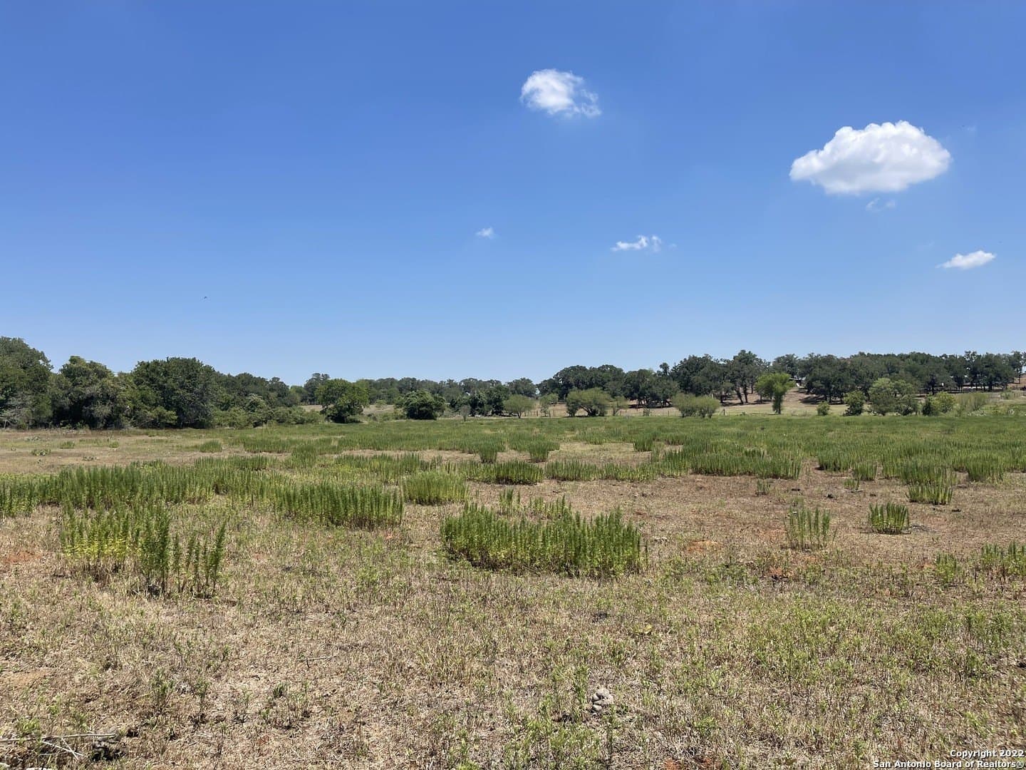 20 acres in Wilson County - photo 13