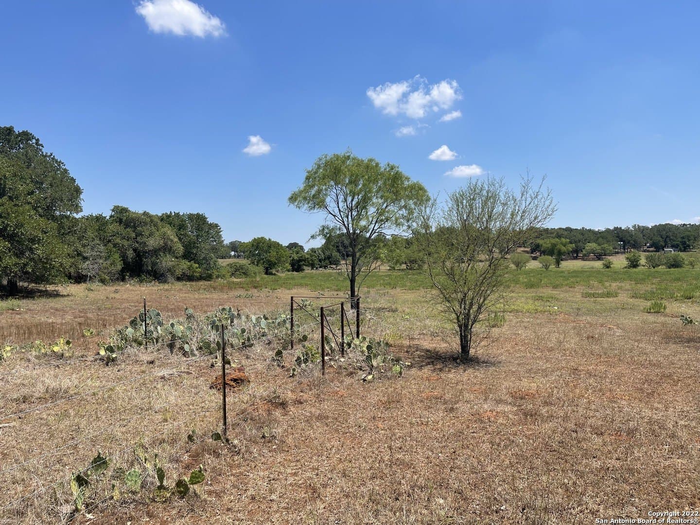 20 acres in Wilson County - photo 20