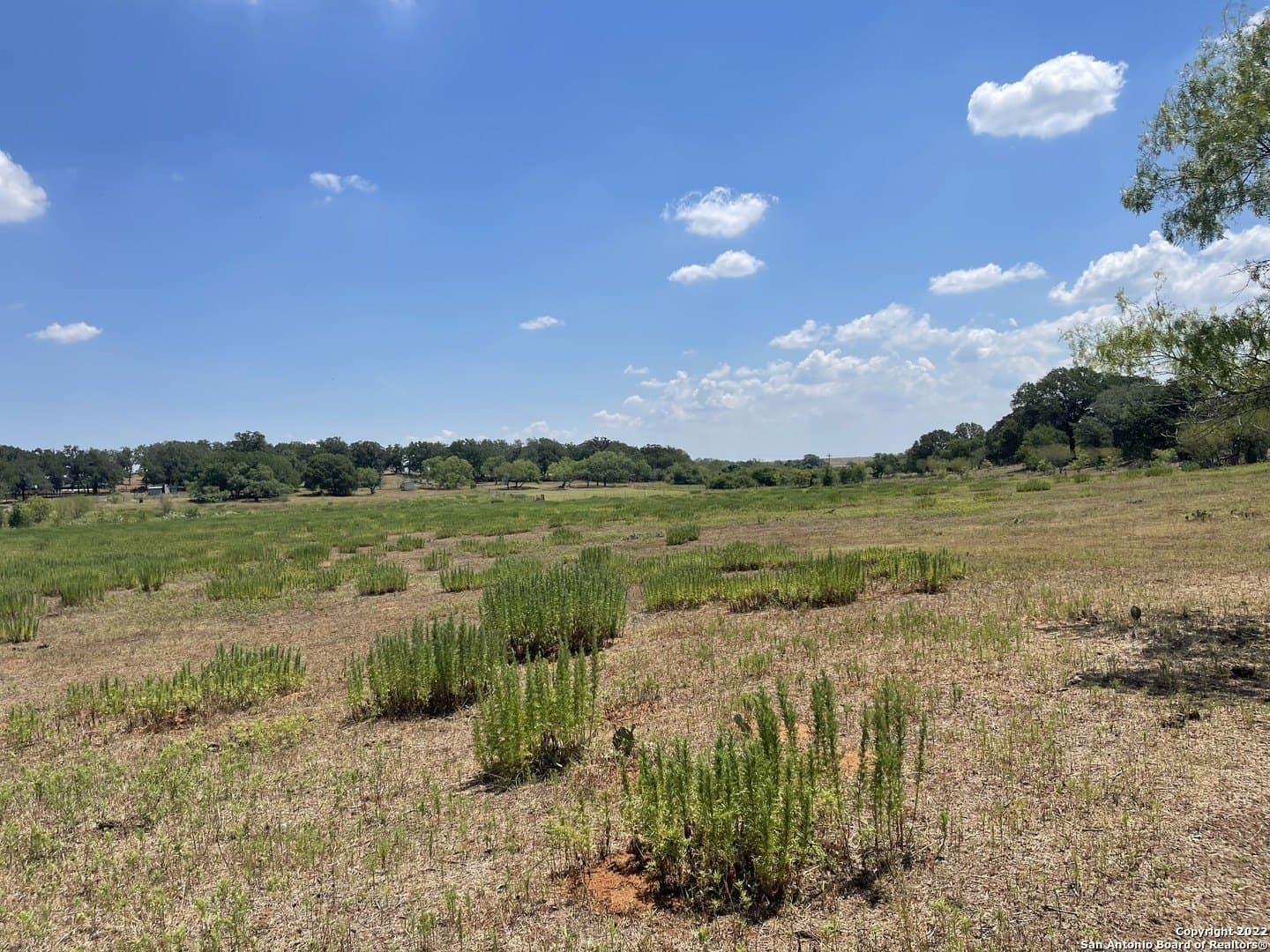 20 acres in Wilson County - photo 14
