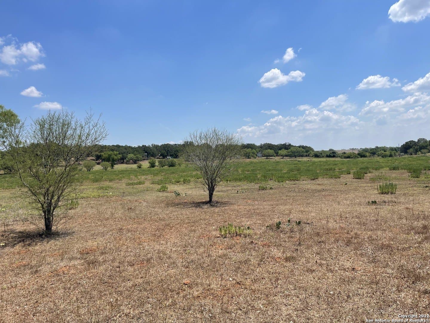 20 acres in Wilson County - photo 21