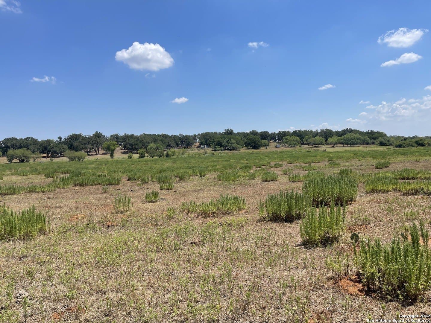 20 acres in Wilson County - photo 12