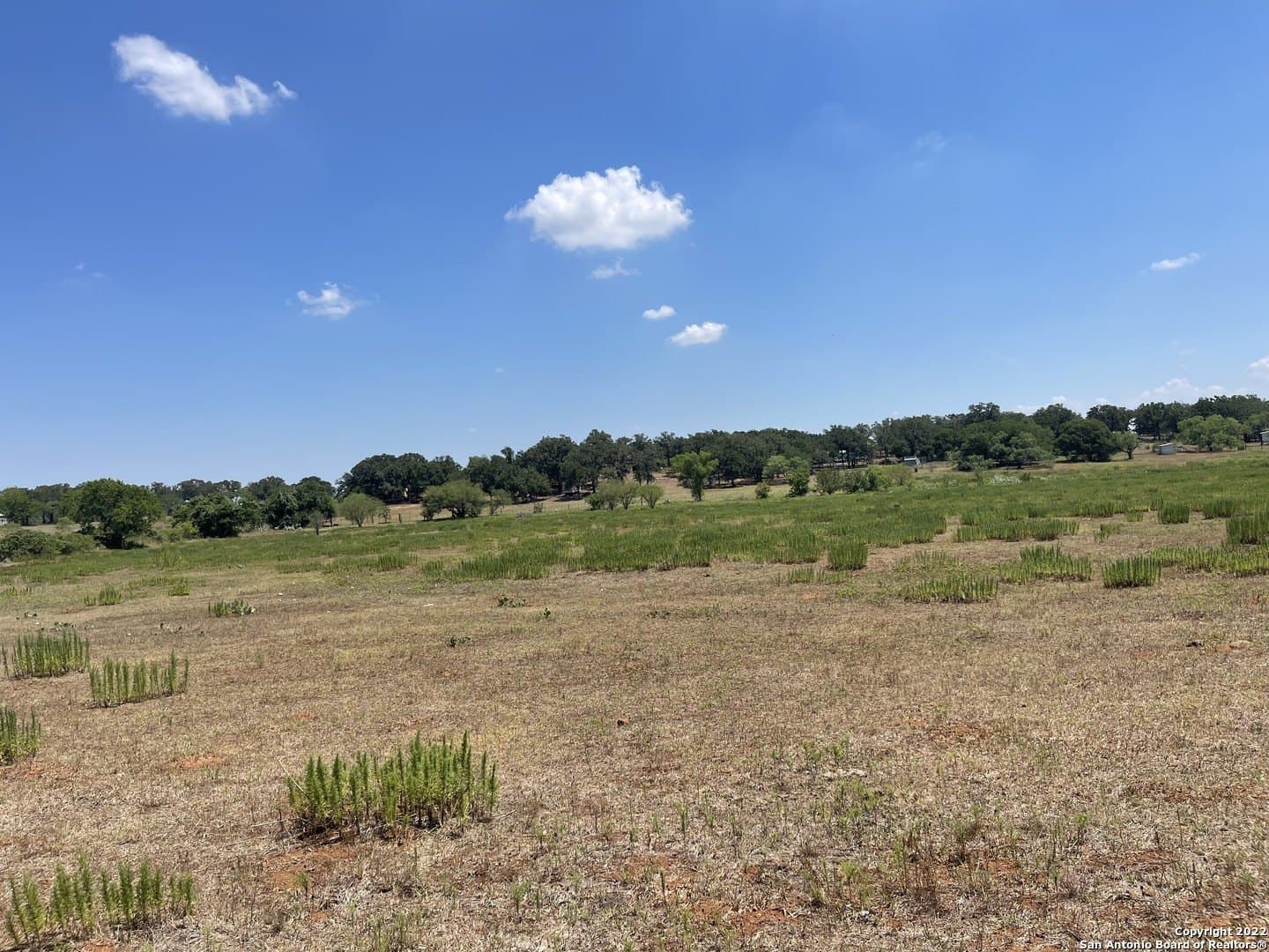 20 acres in Wilson County - photo 15