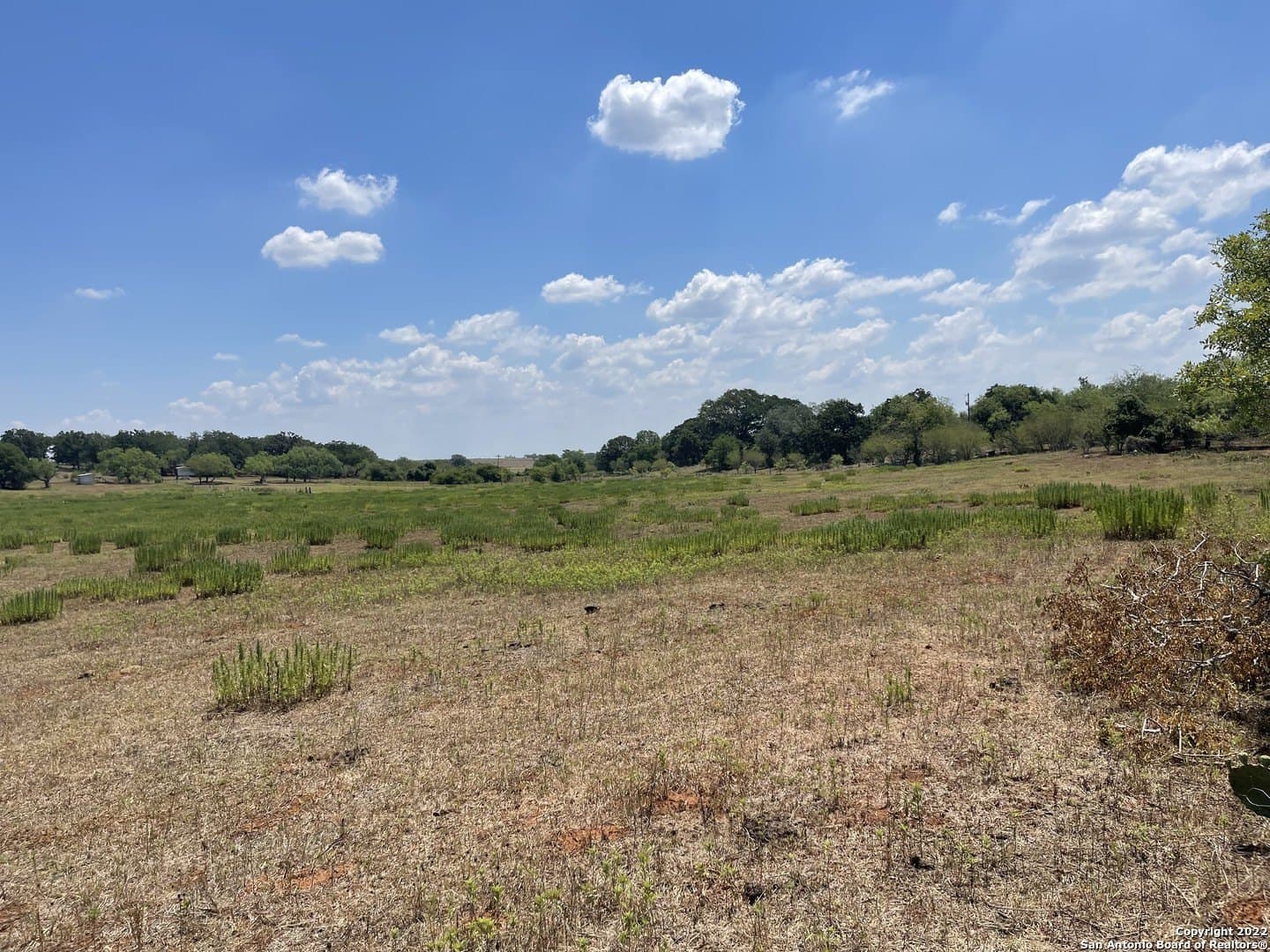 20 acres in Wilson County - photo 16