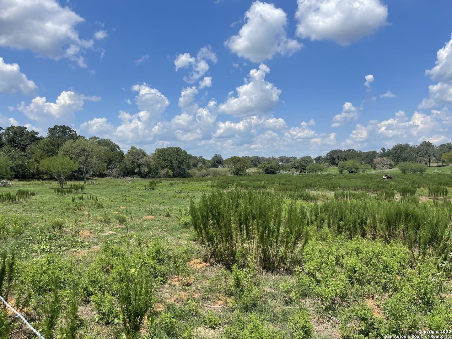 20 acres in Wilson County - photo 2