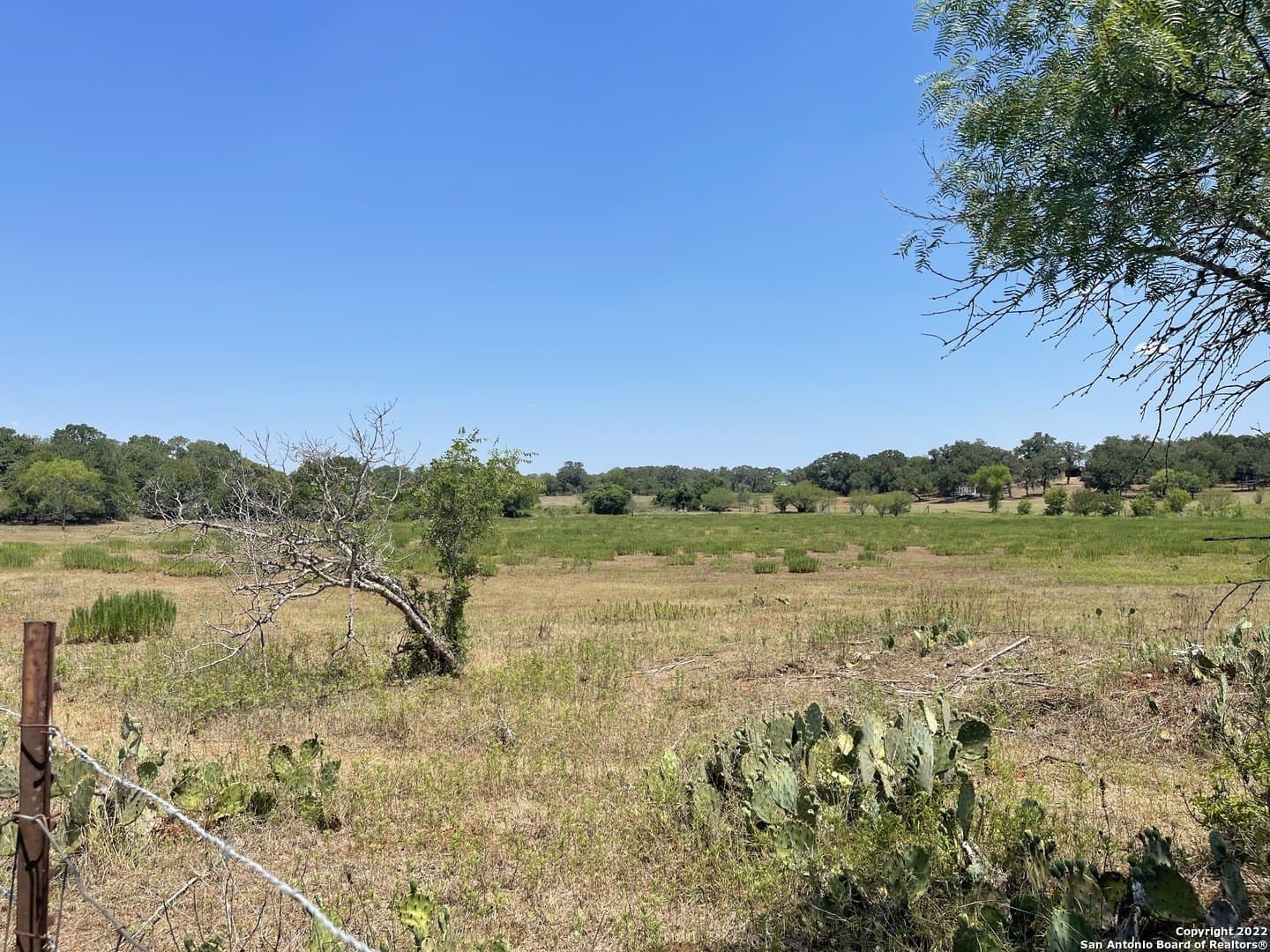 20 acres in Wilson County - photo 10