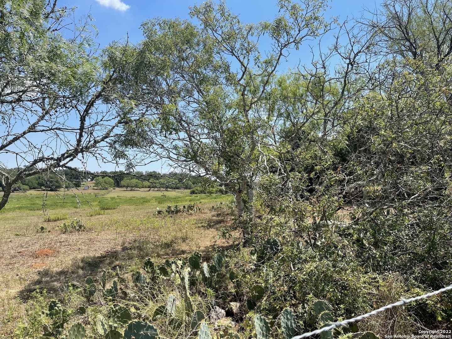 20 acres in Wilson County - photo 9