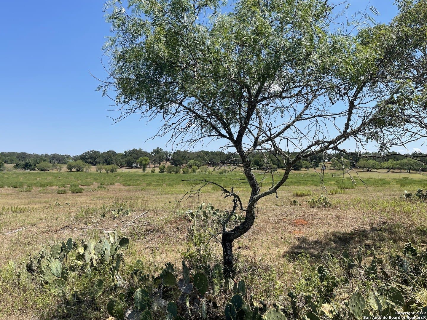 20 acres in Wilson County - photo 8