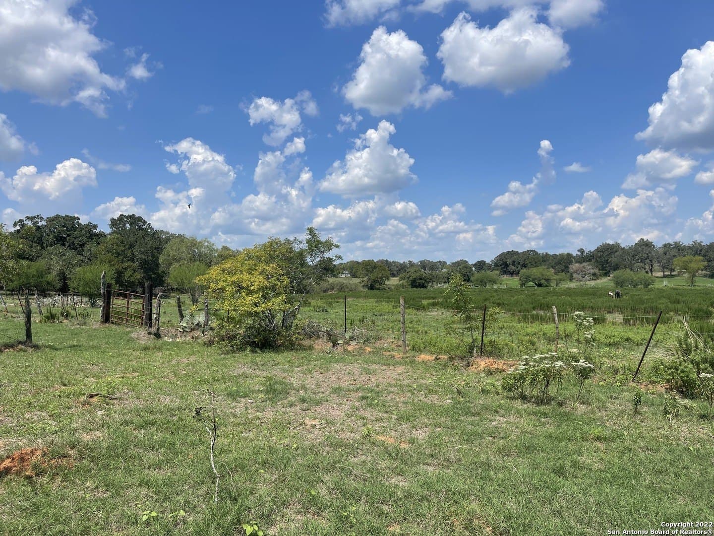 20 acres in Wilson County - photo 6