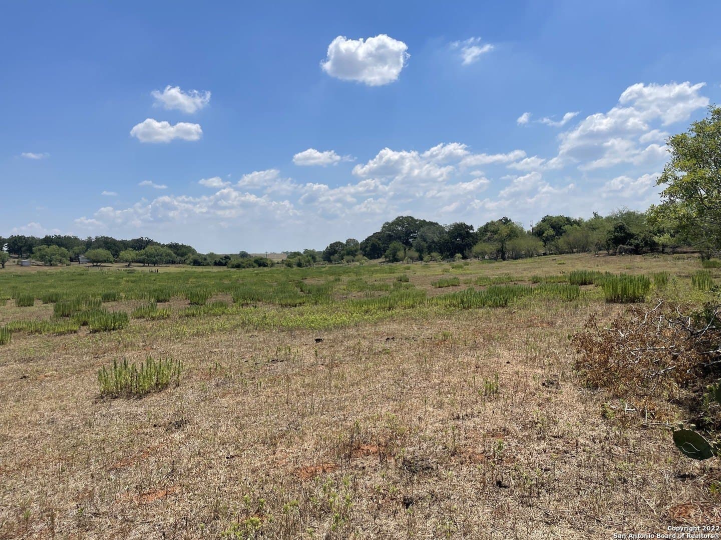 20 acres in Wilson County - photo 17