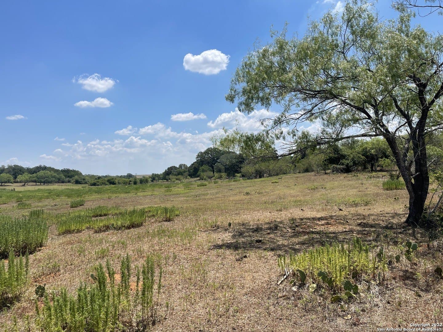 20 acres in Wilson County - photo 19