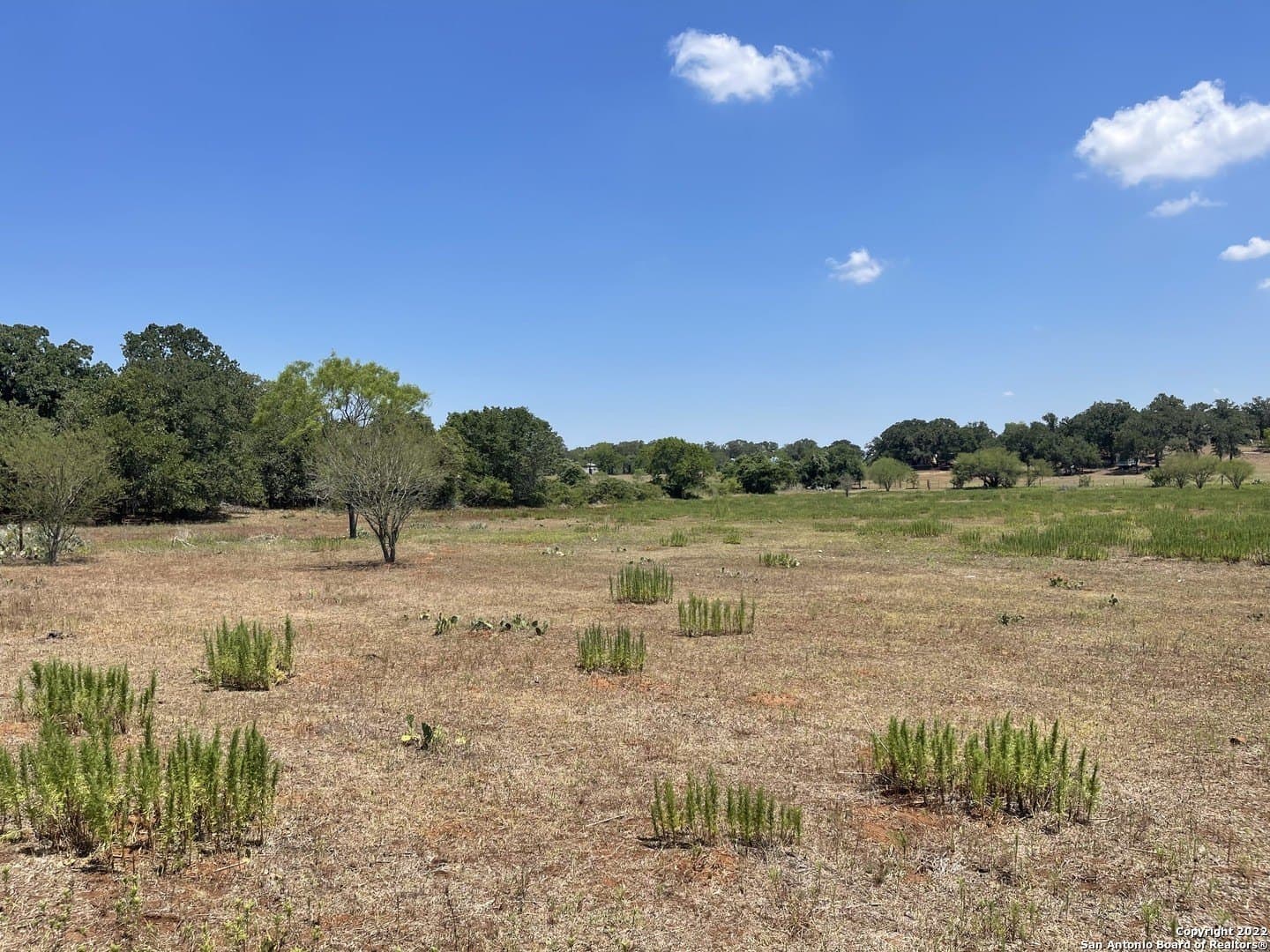 20 acres in Wilson County - photo 18