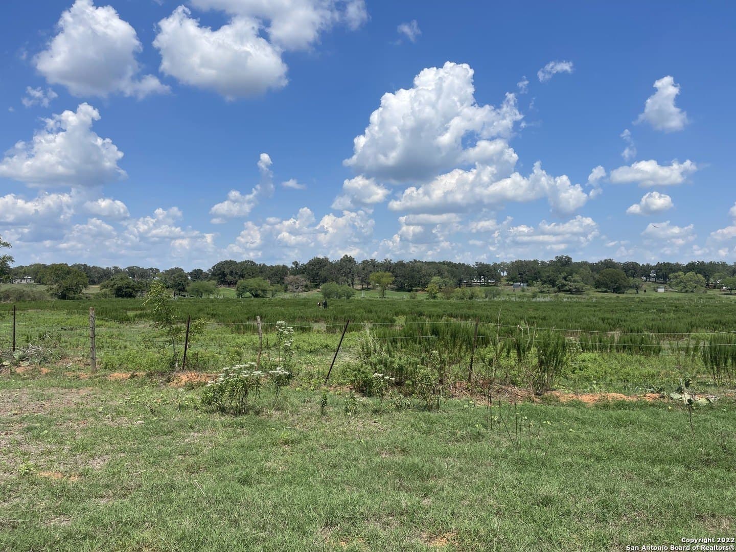 20 acres in Wilson County - photo 7