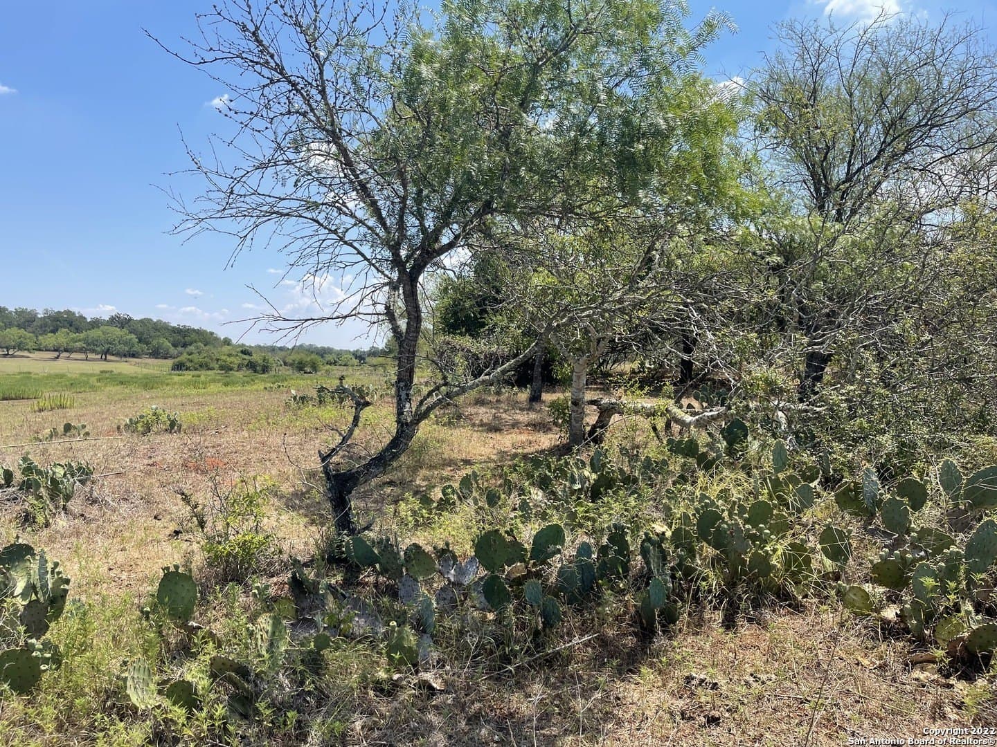 20 acres in Wilson County - photo 11
