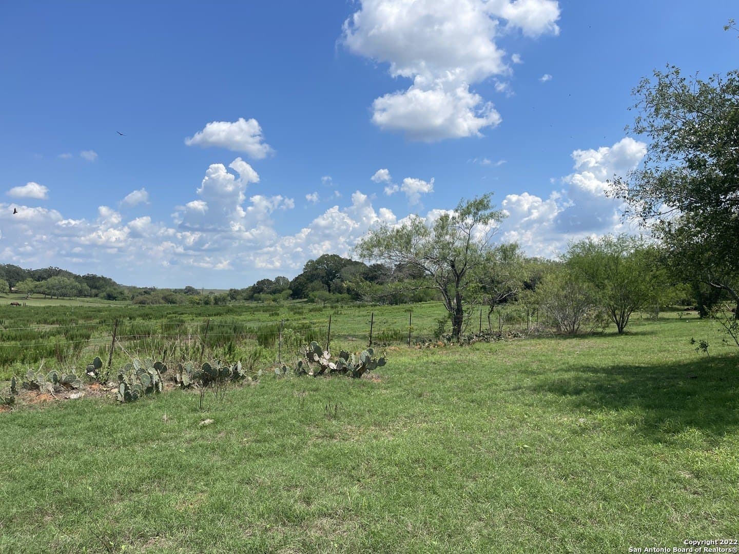 20 acres in Wilson County - photo 5