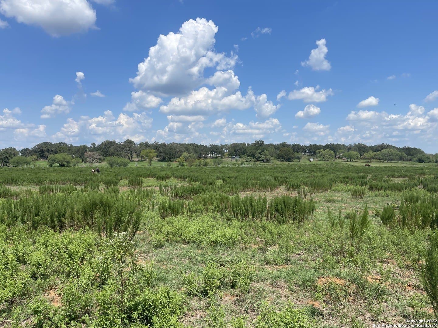 20 acres in Wilson County - photo 3