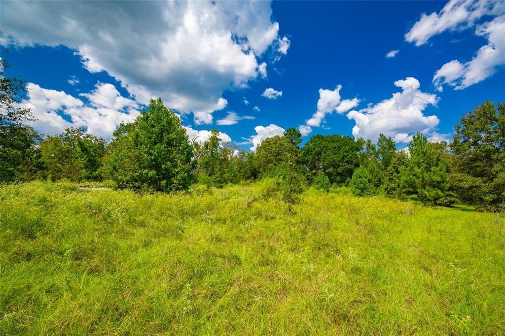 73 acres in Anderson County - photo 4