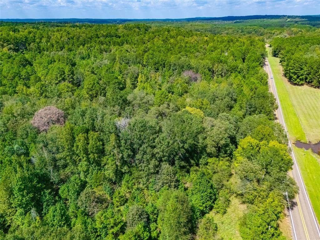 73 acres in Anderson County - photo 15