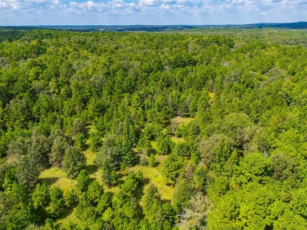 73 acres in Anderson County - photo 6